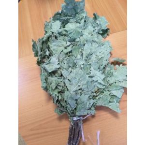 Веник дуб мини